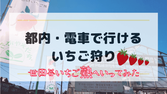 都内でいちご狩り ２０２１年今が旬の世田谷いちご熟へいってみた 子供とおでかけ ときどきわたし