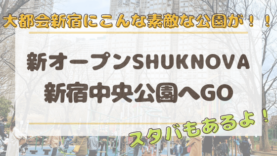 新宿中央公園は遊具がいっぱい スタバでくつろげる大人も嬉しい公園 じゃぶじゃぶ池あり 明日どこいくのー