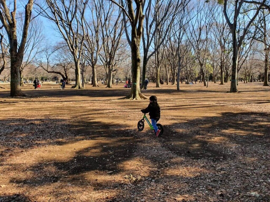 子連れでも楽しめる 大人の公園だけじゃない代々木公園の過ごし方 あしたどこいくのー
