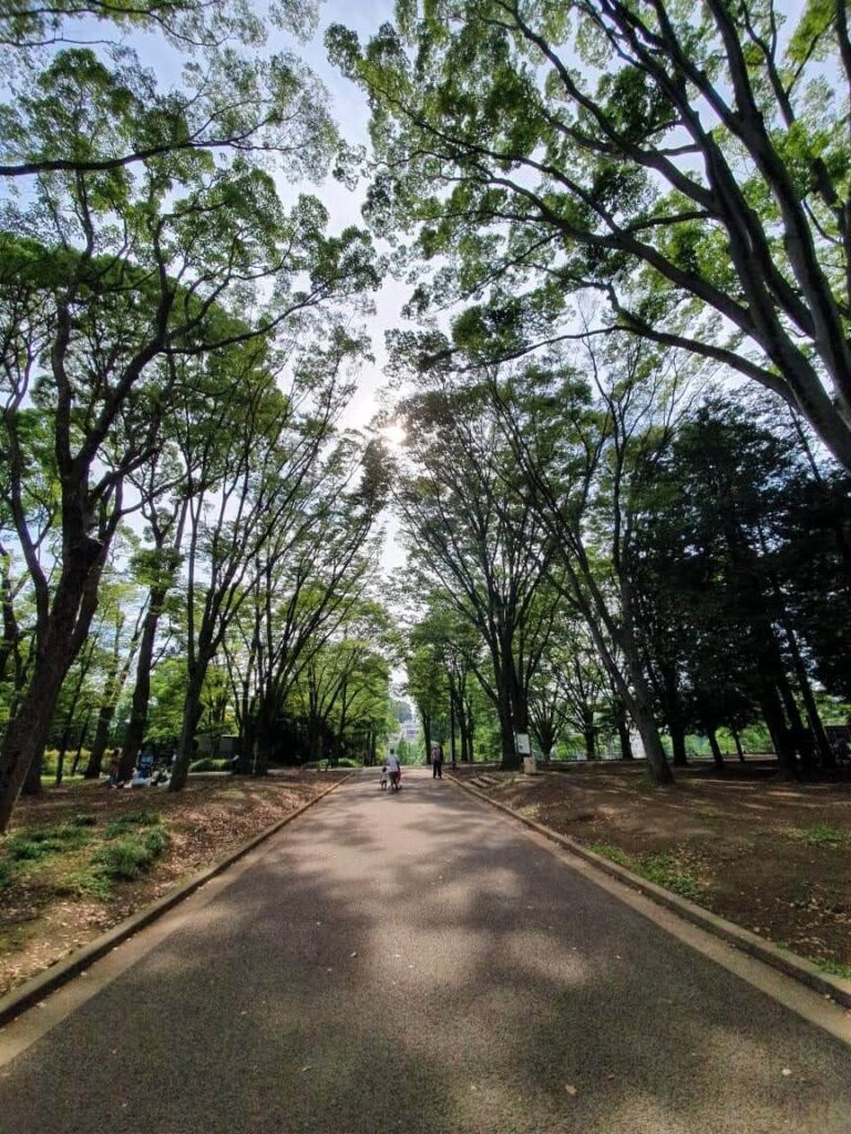 子連れでも楽しめる 大人の公園だけじゃない代々木公園の過ごし方 あしたどこいくのー