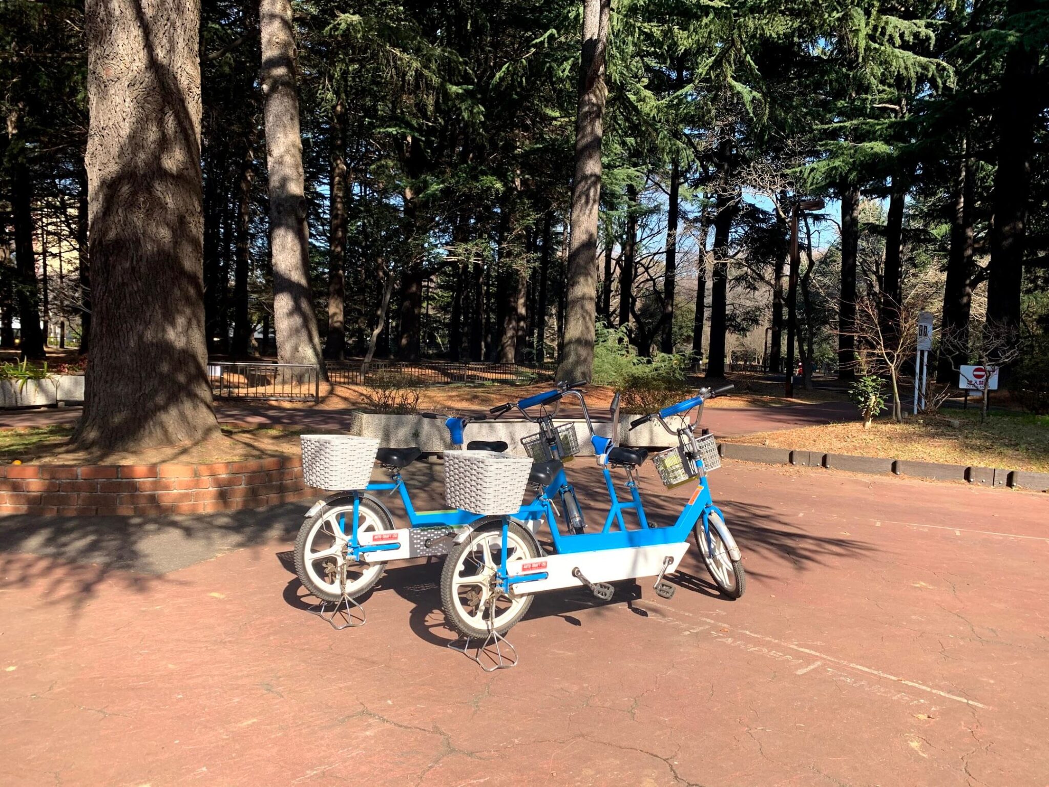 代々木 公園 自転車 ヘルメット